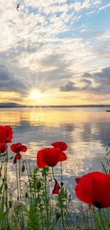 Serene sunset over water with red poppies in the foreground.