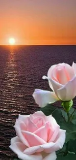 Peaceful sunset over ocean with blooming pink roses.