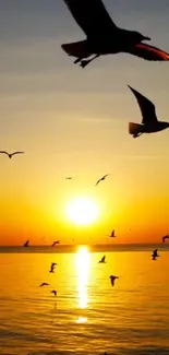 Seagulls soar over an ocean sunset, casting serene reflections.