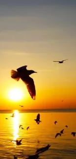 Seagulls flying at sunset over calm ocean waters with a vibrant orange sky.