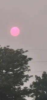 Pink sun setting behind green trees in a serene landscape.