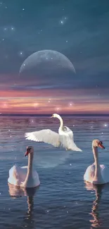 Swans on a serene lake at sunset with a moonlit sky.