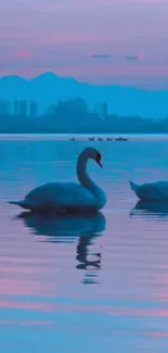 Swans glide on a serene lake at sunset, reflecting vibrant colors.