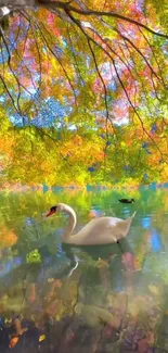 Serene swan gliding on a colorful lake with vibrant autumn leaves.