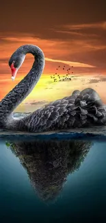 Black swan with sunrise reflection on serene water surface.