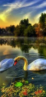 Two swans float on a tranquil lake at sunset with a vibrant sky.