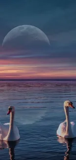 Swans gracefully swimming under a moonlit sky with a colorful sunset and reflections.