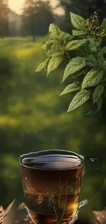 Glass of herbal tea in a sunlit, green meadow background.