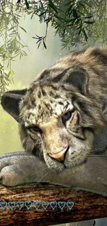 Serene tiger resting on a branch in a lush jungle.