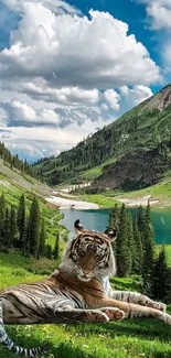 Tiger resting in lush green valley with mountains and sky.