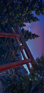 Torii gate amidst trees under evening sky.