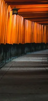 Orange Torii gate lined pathway mobile wallpaper.