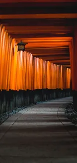 Serene Japanese Torii pathway with vibrant orange hues.