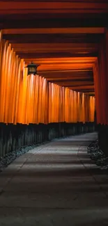 Serene Japanese torii pathway with bright orange gates.