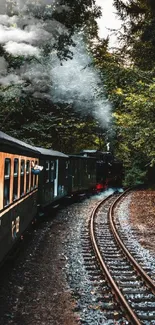 Serene train travels through lush forest on a winding track.