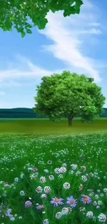 Single tree in a vast green meadow under a bright blue sky.