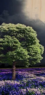 A single tree stands in a field of purple flowers under a moonlit sky.