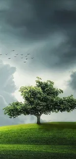 Serene landscape with a tree on a green hill under a dramatic sky.