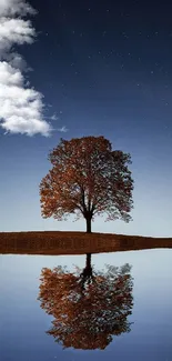 Serene night scene with a tree and reflection on calm water.