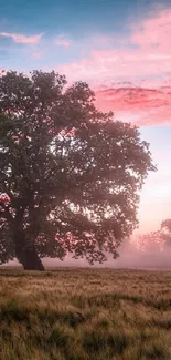 Majestic tree with pink sunset sky and serene landscape.