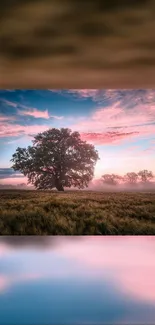 A single tree under a pink sunset sky. Serene landscape.