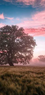 Beautiful tree in a field with a pink and blue sunset sky.