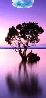 A solitary tree reflected in calm waters under a purple sunset sky.