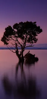 Serene tree in purple sunset reflected on calm waters.