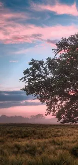 Serene tree at sunset with pink sky.