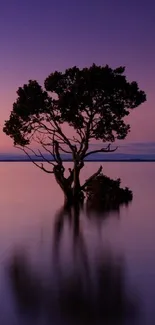 Solitary tree reflecting in calm waters at sunset with purple sky.