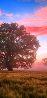 A solitary tree stands in a tranquil field under a pink sunset sky.