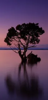 Solitary tree at twilight reflecting on water in a calming purple hue.