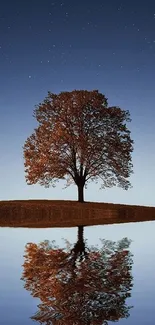 A solitary tree reflecting in calm water under a starry twilight sky.