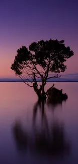 Serene tree at twilight with purple sky and calm waters.