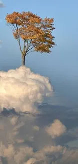 Lonely tree atop clouds against clear sky, serene mobile wallpaper.