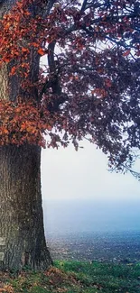 Autumn tree with red leaves against a foggy backdrop