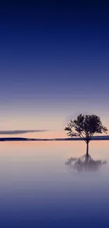 Serene lone tree reflecting in calm blue lake under evening sky.