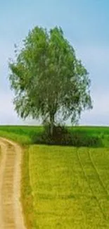 Serene landscape with tree under blue sky and green fields.