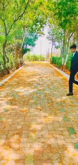 Man walking on a sunlit tree-lined pathway with leafy surroundings.