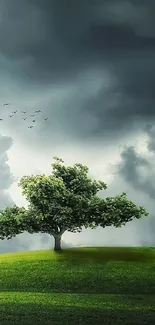 Wallpaper of a lone tree on a vibrant green hill under a dramatic sky.