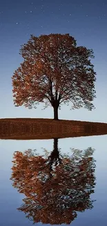 A lone tree reflected in calm water under a starry sky, creating a serene scene.