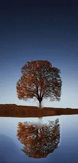 A solitary tree reflects in calm water under a star-filled night sky.