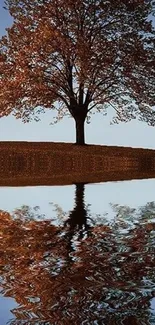 Tree with reflection on a serene lake under a clear blue sky.