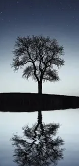 Lone tree reflecting in calm water under a starry sky.