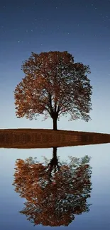 Tree reflecting in calm water under a starry night sky.