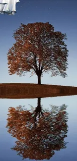 Reflective tree on tranquil lake under a starry sky.