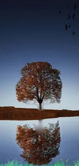 Serene tree reflection under a starry sky with calm water.