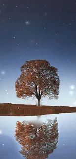 Tree reflected in water under a starry night sky, creating a serene scene.