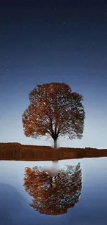 Solitary tree reflected in a calm lake under a starry night sky.