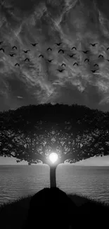 Serene black and white wallpaper with tree silhouette and birds.